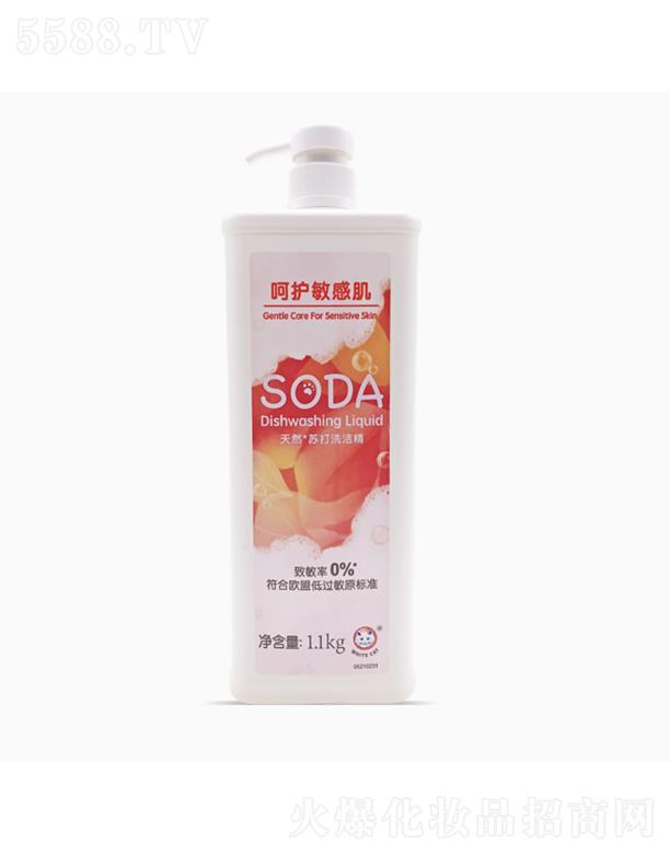 SODA��Ȼ�K��ϴ����