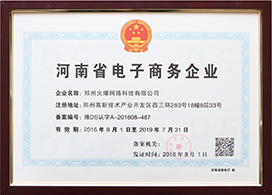 河南省電子商務(wù)企業(yè)